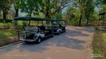 Liburan ke Solo Safari, Ini yang Perlu Diketahui Traveler