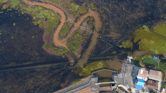 Foto udara kondisi bendungan mengering di Waduk Benanga Lempake, Samarinda, Kalimantan Timur, Sabtu (5/9/2026). Menurut petugas Balai Wilayah Sungai (BWS) Kalimantan IV, dalam sepekan terakhir debit air Waduk Benanga Lempake mengalami penyusutan menjadi 6,80 mdpl dari sebelumnya 7,20 mdpl dan saat ini tidak dapat mengaliri saluran irigasi dan menyuplai kebutuhan air baku di wilayah Samarinda dan sekitarnya. ANTARA FOTO/Angga Palguna/agr