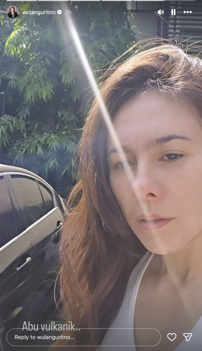 Wulan Guritno menunjukkan mobil yang kotor dipenuhi debu. Ia juga mengungkapkan, lantai rumahnya juga lebih kotor dari biasanya. (Foto: Instagram)