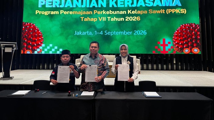 Bank Sumsel lakukan penandatangan Perjanjian Kerjasama Perkebunan Kelapa Sawit