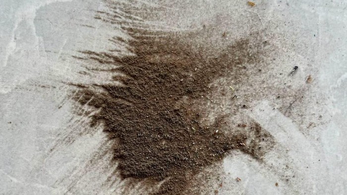 Debu dari abu vulkanik Gunung Anak Krakatau yang dirasakan warga Bengkulu