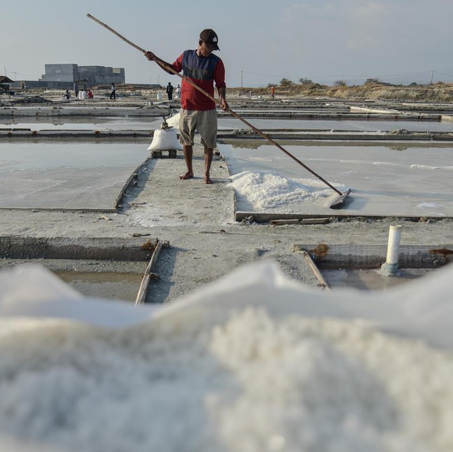 Garam Lokal Dipanen, Target Hentikan Impor Terus Dikejar