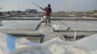 Garam Lokal Dipanen, Target Hentikan Impor Terus Dikejar