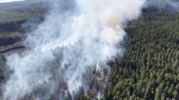 Kebakaran hutan pinus Gunung Semeru