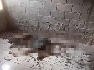 Heboh Warga Banyuasin Temukan Kerangka Manusia, Kondisinya Hangus Terbakar