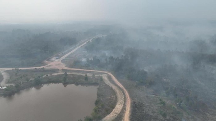 Kondisi Kebun Raya Sriwijaya di Ogan Ilir yang masih terbakar
