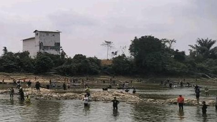 Menuba, Tradisi Warga Dayak Meminta Hujan dari Tepian Sungai. (Istimewa)