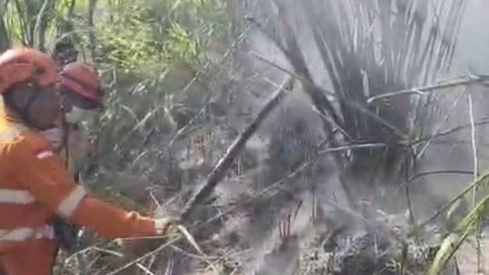 Pemadaman kebakaran hutan Gunung Sumbing wilayah Temanggung, Minggu (6/9/2026).