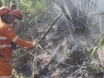 Hutan Gunung Sumbing Wilayah Temanggung Terbakar