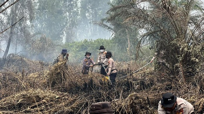 Penanganan karhutla di Dayun, Siak, Riau