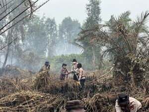 BNPB Ungkap Sudah Tak Ada Titik Api di Riau, Tapi Sumsel dan Jambi Naik