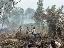 Tim Gabungan Padamkan Karhutla di Siak, Water Bombing dan Alat Berat Diturunkan