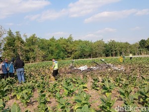 Kesaksian Warga Lihat Pesawat Capung Nyungsep-Terbakar di Blora