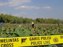 Puing Pesawat Capung Jatuh-Terbakar di Ladang Blora Belum Dievakuasi