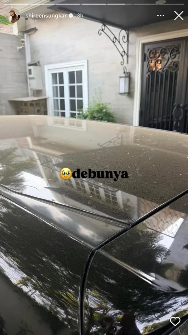 Andre Taulany-Wulan Guritno Curhat Rumah Kena Abu Vulkanik, Ini Kondisinya