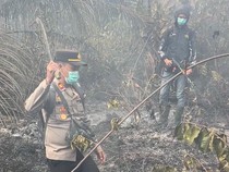 2 Hektare Lahan di Tungkal Jaya Muba Terbakar