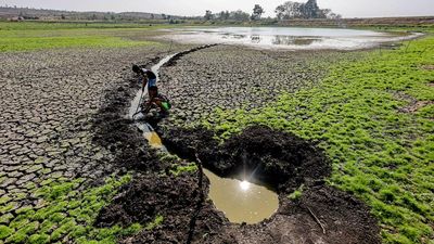 Waduk Sumberkepuh Mengering, Irigasi 400 Hektare Lahan Pertanian Terancam