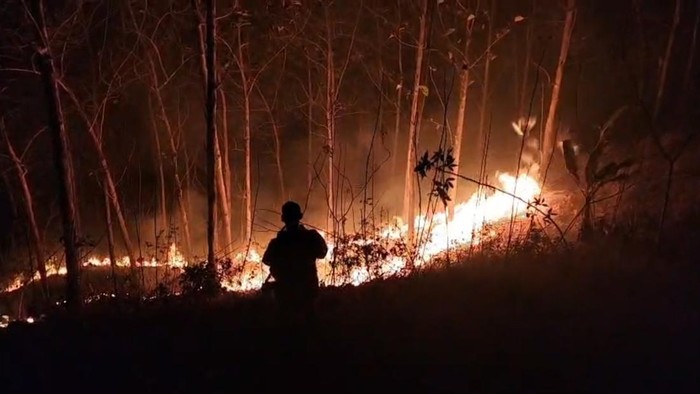Area hutan jati yang terbakar di Bukit Desa Sawangan, Kecamatan Ajibarang, Kabupaten Banyumas, Senin (7/9/2026) malam.