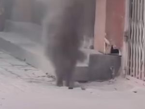 Video Viral Semburan Asap Hitam di Pasar Baru Jakpus, Ternyata Korsleting Listrik