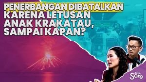 Detik-detik Pembukaan Bandara Soetta Usai Erupsi Anak Krakatau