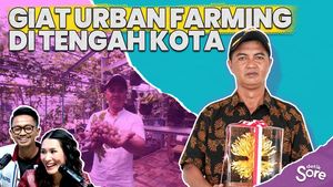 Dani Arwanto, Sulap Kampung Kumuh Jadi Gang Hijau