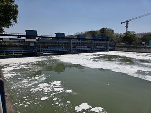 Jasa Tirta Ambil 5 Sampel Air Usai Busa Muncul di Sungai Surabaya