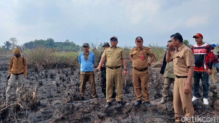 Kepala BPBD Samarinda, Suwarso saat meninjau ulang lokasi kebakaran di Betapus. (Muhammad Budi Kurniawan/detikKalimantan)