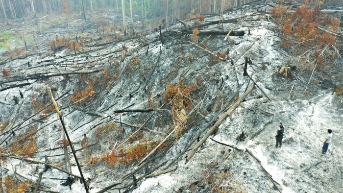 Personel Subdit Tipidter Polda Kaltara mengecek area di lereng bukit yang hangus akibat karhutla di Desa Mangkupadi, Bulungan.