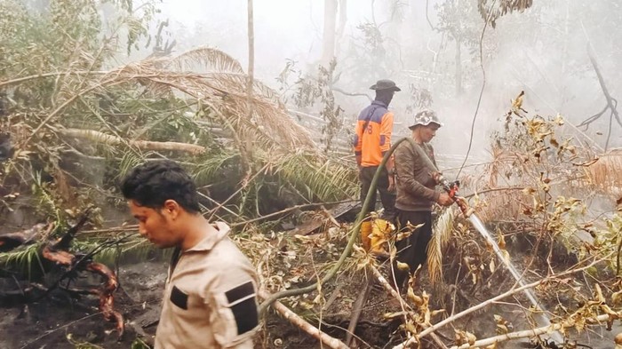 Petugas melakukan pemadaman kebakaran hutan di Desa Kudung, Kecamatan Lingga Timur, Kabupaten Lingga.(Dok BPBD Lingga)