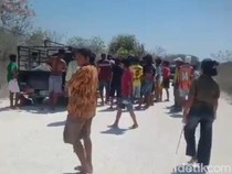 Terungkap, Polisi di Sumba Timur Berperan sebagai Penadah Sapi Curian