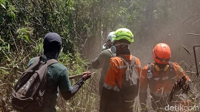 Tim gabungan membuat sekat bakar untuk mencegah api makin meluas di Gunung Bathok