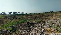 Waduk Sumberkepuh di Kecamatan Lengkong, Kabupaten Nganjuk, mengering akibat musim kemarau panjang.