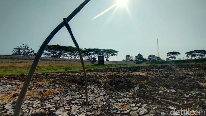 Waduk Sumberkepuh Nganjuk Mengering