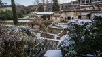 Potret Kota Pompeii yang Hancur Akibat Tertimbun Abu Vulkanik
