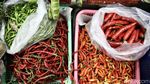 Cabai Rawit Merah Makin Pedas, Harga Tembus Rp91 Ribu