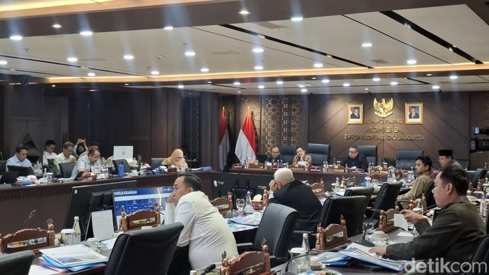 Dalam rapat bersama Komisi B DPRD DKI, Ancol menyampaikan rencana mengembangkan kawasan reklamasi seluas 65 hektare untuk pembangunan dari hotel, apartemen, rumah sakit (RS), hingga area hiburan. (Belia/detikcom)