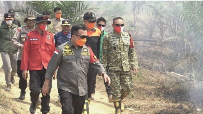 Gubernur Jambi Al Haris saat meninjau karhutla di Tahura.