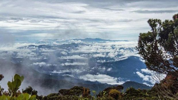 Gunung Bukit Raya. (Laman Disbudpar Kalteng) Gunung Bukit Raya. (Laman Disbudpar Kalteng)