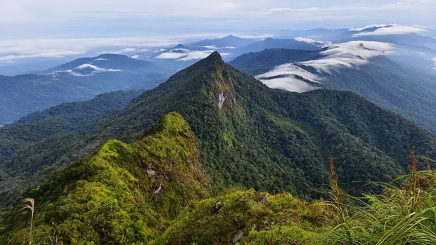 Gunung Halau-halau, puncak tertinggi di Pegunungan Meratus. (Laman Kementerian Pariwisata) Gunung Halau-halau, puncak tertinggi di Pegunungan Meratus. (Laman Kementerian Pariwisata)