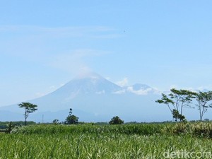 Semeru Erupsi 29 Kali dalam 6 Jam, Warga Dilarang Beraktivitas di Radius 5 Km