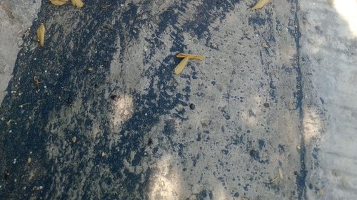 Pasir hitam yang memenuhi jalanan di sejumlah desa di lereng Gunung Ile Lewotolok setelah erupsi, Selasa (8/9/2026).