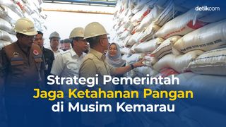 Strategi Pemerintah Jaga Ketahanan Pangan di Musim Kemarau