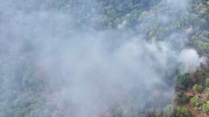 Karhutla di Gunung Ciremai