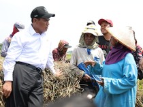 Mentan Amran Raih Kinerja Terbaik di Kabinet Versi IndexPolitica Indonesia