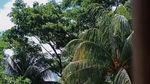 Kunjungan ke Lombok, Putri Mahkota Swedia Disuguhi Sate hingga Ayam Taliwang
