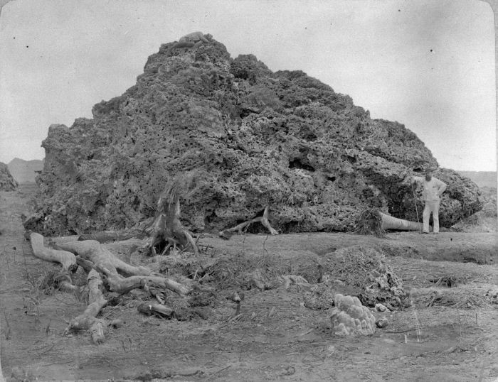 Letusan krakatau 1883