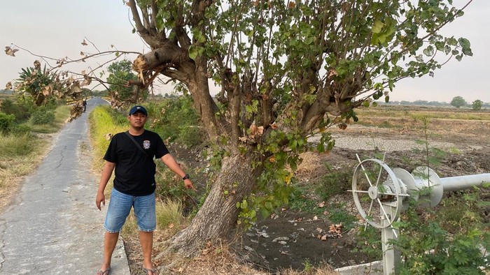 Lokasi kejadian pria pamer kelamin di Gresik