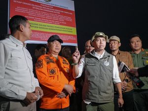 Video Lahan Bekas Karhutla di Kalbar Ditanam Sawit