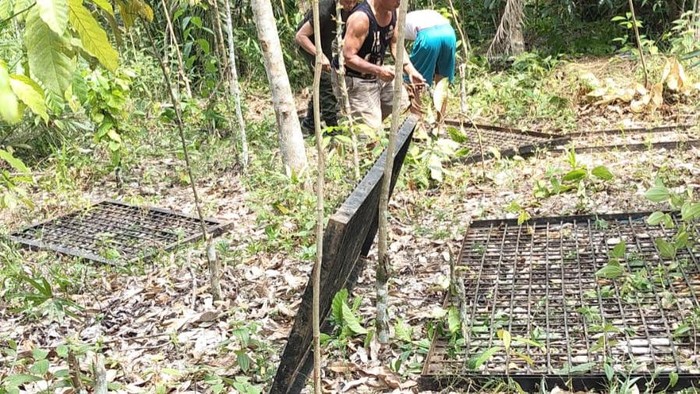 Pemasangan perangkap beruang di Lubuklinggau.