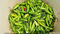 Kenaikan harga cabai tersebut menjadi kabar baik bagi para petani di Lumajang. Pendapatan dari hasil panen pun meningkat dibandingkan ketika harga cabai berada di level rendah.